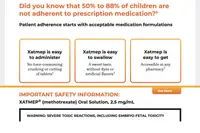WordPress Custom Theme - Multisite